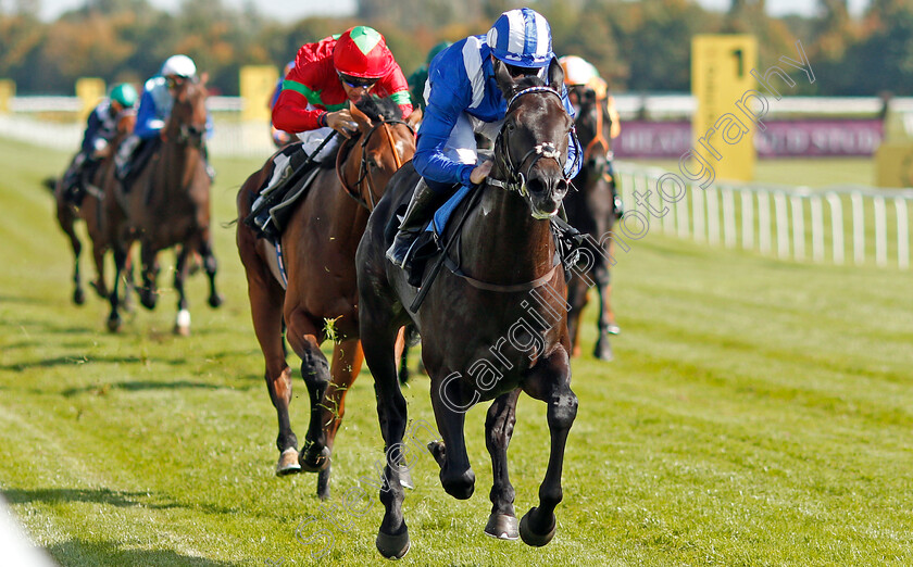 Emaraaty-0007 
 EMARAATY (Jim Crowley) wins The Wedgewood Estates EBF Novice Stakes Div2 Newbury 23 Sep 2017 - Pic Steven Cargill / Racingfotos.com