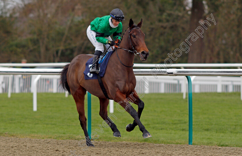 Amber-Island-0001 
 AMBER ISLAND (Laura Pearson) winner of The Play Coral Racing Super Series For Free EBF Fillies Handicap
Lingfield 1 Dec 2021 - Pic Steven Cargill / Racingfotos.com