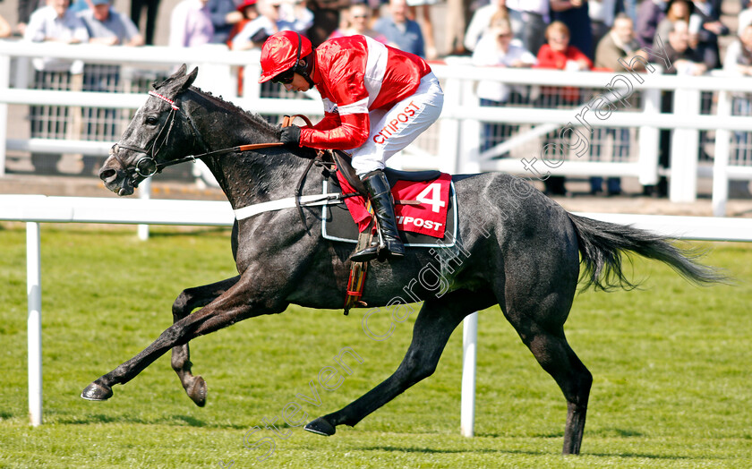 Diese-Des-Bieffes-0008 
 DIESE DES BIEFFES (Noel Fehily) wins The Citipost Novices Hurdle Cheltenham 18 Apr 2018 - Pic Steven Cargill / Racingfotos.com