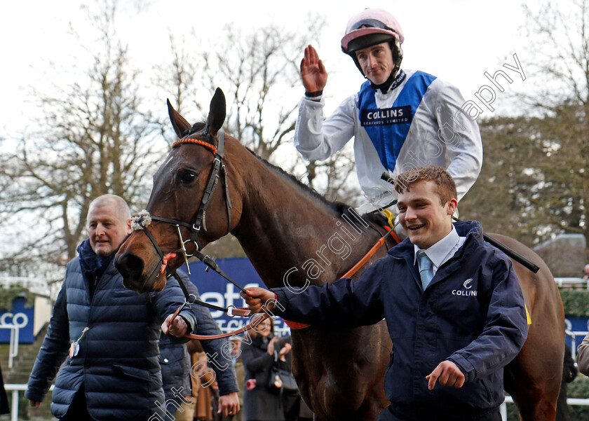 Waiting-Patiently-0010 
 WAITING PATIENTLY (Brian Hughes) after The Betfair Ascot Chase Ascot 17 Feb 2018 - Pic Steven Cargill / Racingfotos.com