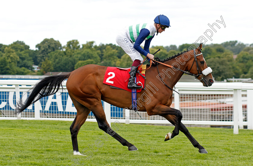 Coltrane-0002 
 COLTRANE (Rob Hornby) winner of The Coral Marathon 
Sandown 1 Jul 2022 - Pic Steven Cargill / Racingfotos.com