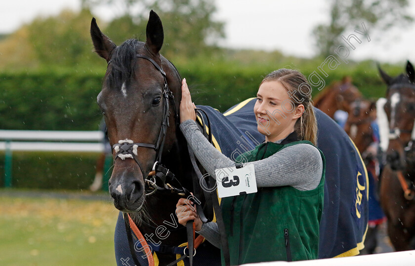 Murphy s-Dream-0013 
 MURPHY'S DREAM
Southwell 4 Oct 2022 - Pic Steven Cargill / Racingfotos.com