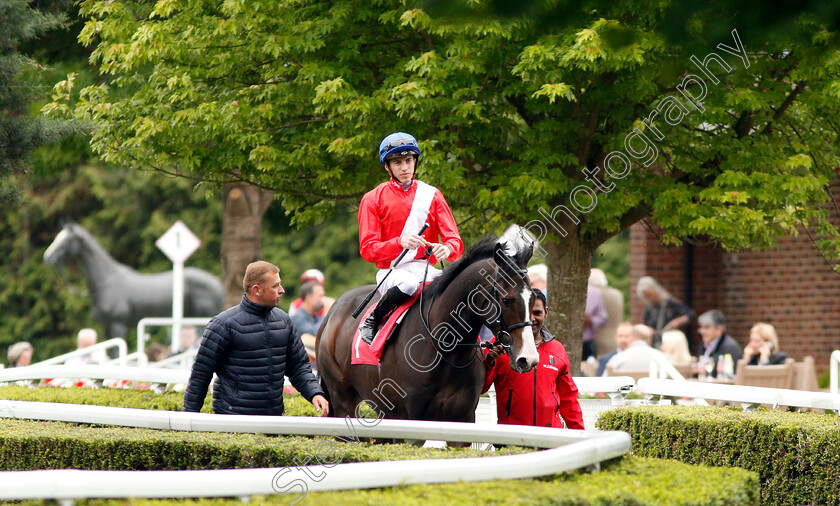 Destination-0001 
 DESTINATION (James Doyle)
Kempton 5 Jun 2019 - Pic Steven Cargill / Racingfotos.com