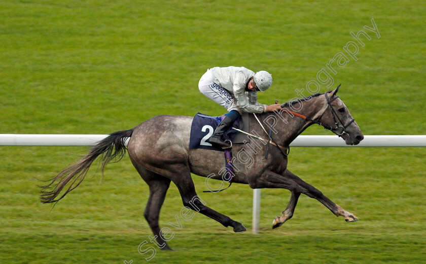 Camouflaged-0006 
 CAMOUFLAGED (David Probert) wins The Shadow Scaffolding Handicap
Chepstow 9 Jul 2020 - Pic Steven Cargill / Racingfotos.com