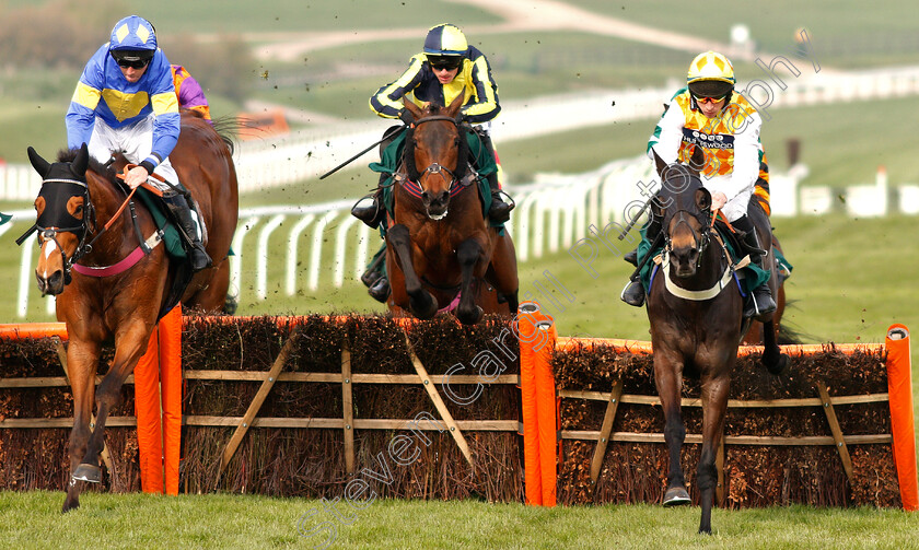 Reve-0001 
 DANS LE VENT (right, Gavin Sheehan) with REVE (left, Leighton Aspell)
Cheltenham 17 Apr 2019 - Pic Steven Cargill / Racingfotos.com