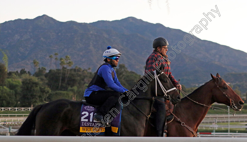 Wet-Paint-0001 
 WET PAINT training for The Breeders' Cup Distaff
Santa Anita USA, 31 October 2023 - Pic Steven Cargill / Racingfotos.com