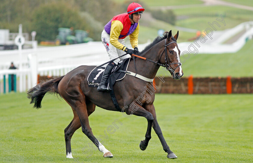 L Ar-Du-Vent-0001 
 L'AIR DU VENT (Robbie Power)
Cheltenham 25 Oct 2019 - Pic Steven Cargill / Racingfotos.com