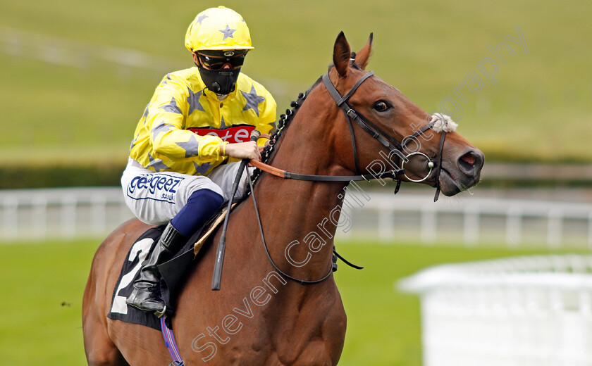 Golden-Crusader-0001 
 GOLDEN CRUSADER (David Probert)
Goodwood 28 Aug 2020 - Pic Steven Cargill / Racingfotos.com