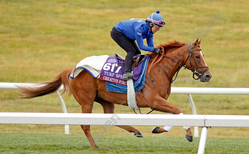 Creative-Force-0001 
 CREATIVE FORCE training for the Breeders' Cup Turf Sprint
Keeneland USA 2 Nov 2022 - Pic Steven Cargill / Racingfotos.com