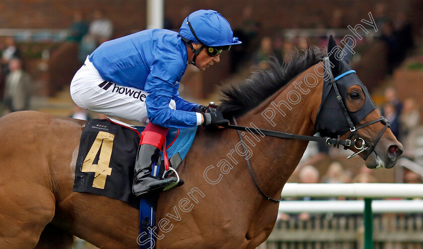 Trawlerman-0002 
 TRAWLERMAN (Frankie Dettori) wins The Jockey Club Rose Bowl Stakes
Newmarket 28 Sep 2023 - Pic Steven Cargill / Racingfotos.com