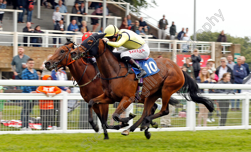 Unique-Cut-0003 
 UNIQUE CUT (Robert Havlin) wins The Sorvio Insurance Brokers Novice Stakes Div1
Salisbury 12 Aug 2021 - Pic Steven Cargill / Racingfotos.com