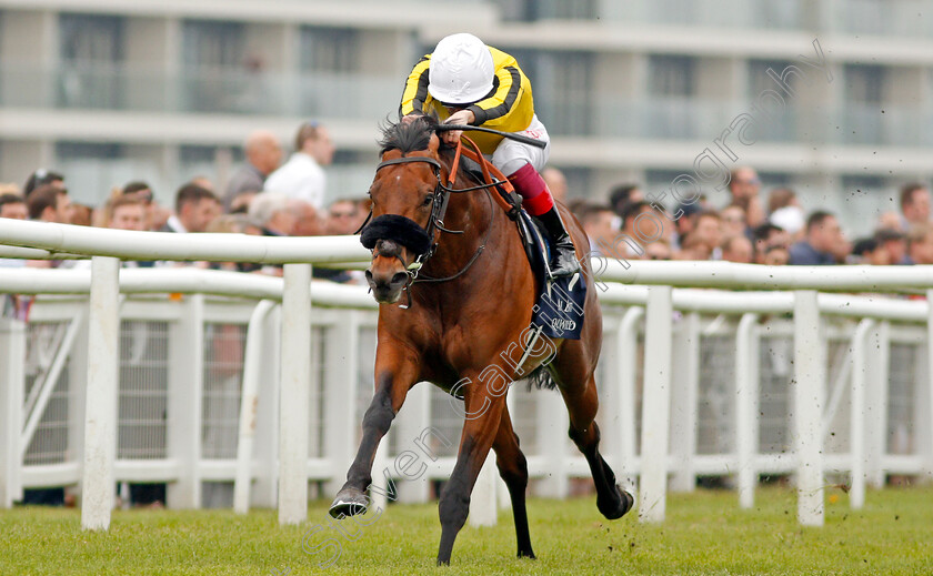 James-Garfield-0003 
 JAMES GARFIELD (Frankie Dettori) wins The Al Basti Equiworld Supporting Greatwood Greenham Stakes Newbury 21 Apr 2018 - Pic Steven Cargill / Racingfotos.com