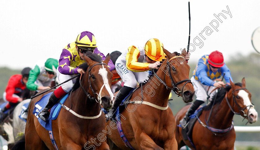 Daddies-Girl-0004 
 DADDIES GIRL (left, Theodore Ladd) beats HATEYA (centre) in The British Stallion Studs EBF Fillies Handicap
Nottingham 30 Apr 2019 - Pic Steven Cargill / Racingfotos.com