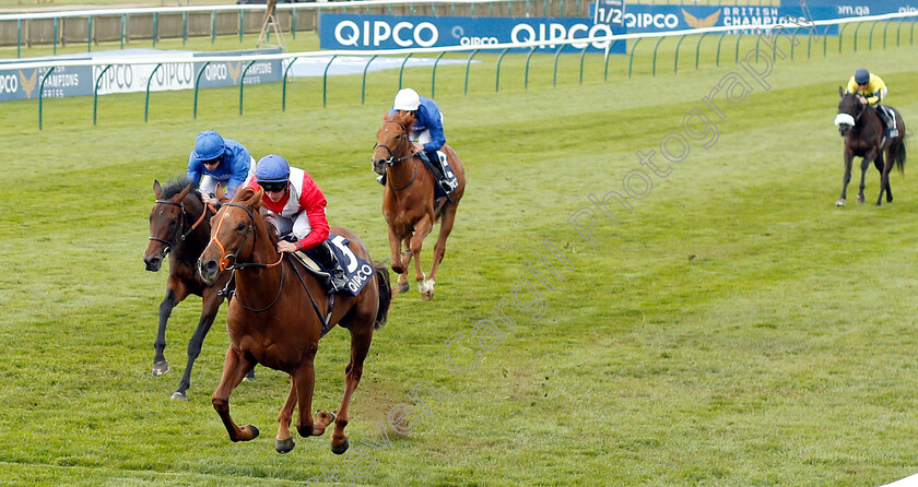 Threat-0002 
 THREAT (Tom Marquand) wins The Hot Streak Maiden Stakes
Newmarket 5 May 2019 - Pic Steven Cargill / Racingfotos.com