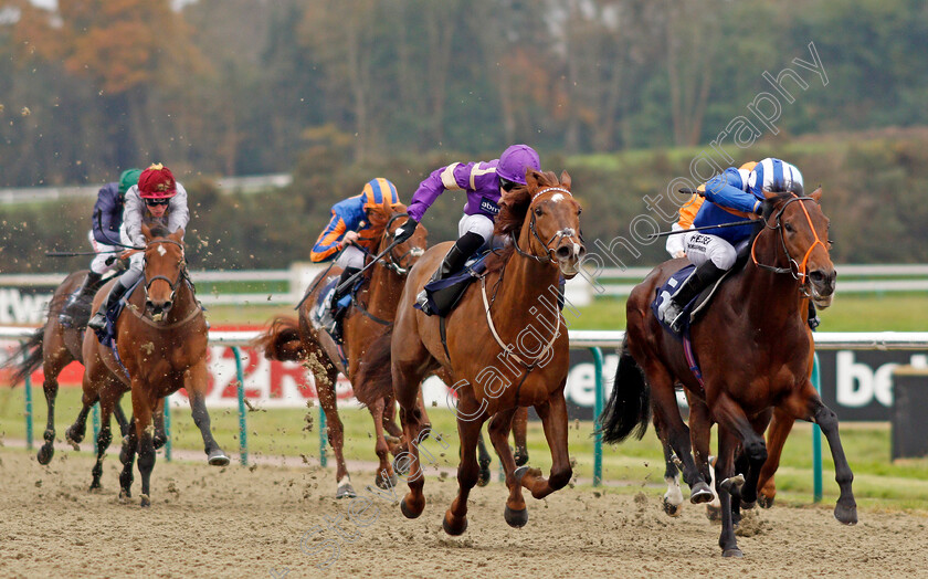 Rajaam-0002 
 RAJAAM (right, Sean Levey) beats KEY PLAYER (centre) in The 32Red.com/EBF Novice Stakes Lingfield 21 Nov 2017 - Pic Steven Cargill / Racingfotos.com