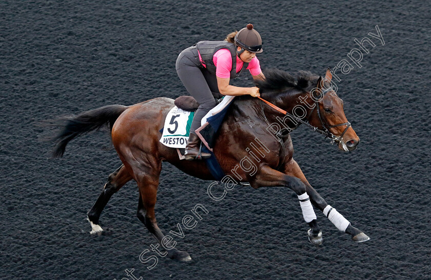 Westover-0002 
 WESTOVER training for the Sheema Classic
Meydan, Dubai, 21 Mar 2023 - Pic Steven Cargill / Racingfotos.com