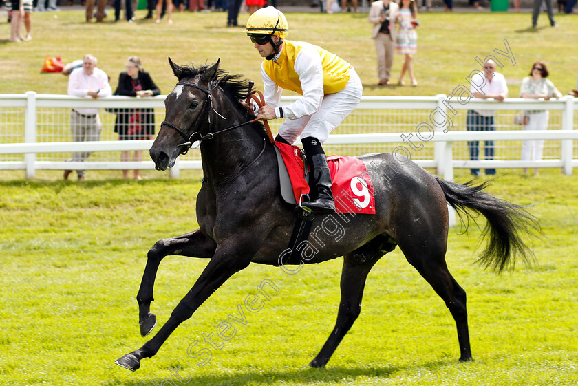 Kenzohope-0001 
 KENZOHOPE (Jack Mitchell)
Sandown 15 Jun 2018 - Pic Steven Cargill / Racingfotos.com