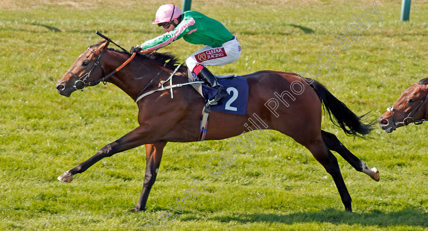 Gobi-Sunset-0004 
 GOBI SUNSET (Oisin Murphy) wins The Ken Lindsay Memorial Nursery
Yarmouth 19 Sep 2019 - Pic Steven Cargill / Racingfotos.com