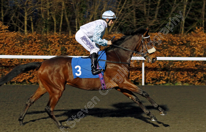 Calumet-0002 
 CALUMET (Marco Ghiani)
Kempton 14 Feb 2024 - Pic Steven Cargill / Racingfotos.com