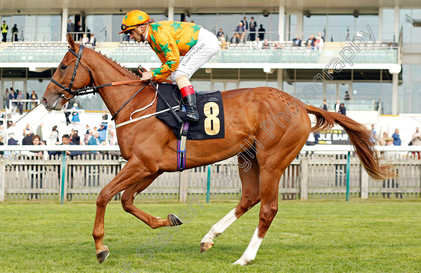 Tenerife-Sunshine-0006 
 TENERIFE SUNSHINE (Andrea Atzeni) winner of The Turners British EBF Maiden Stakes
Newmarket 22 Sep 2022 - Pic Steven Cargill / Racingfotos.com