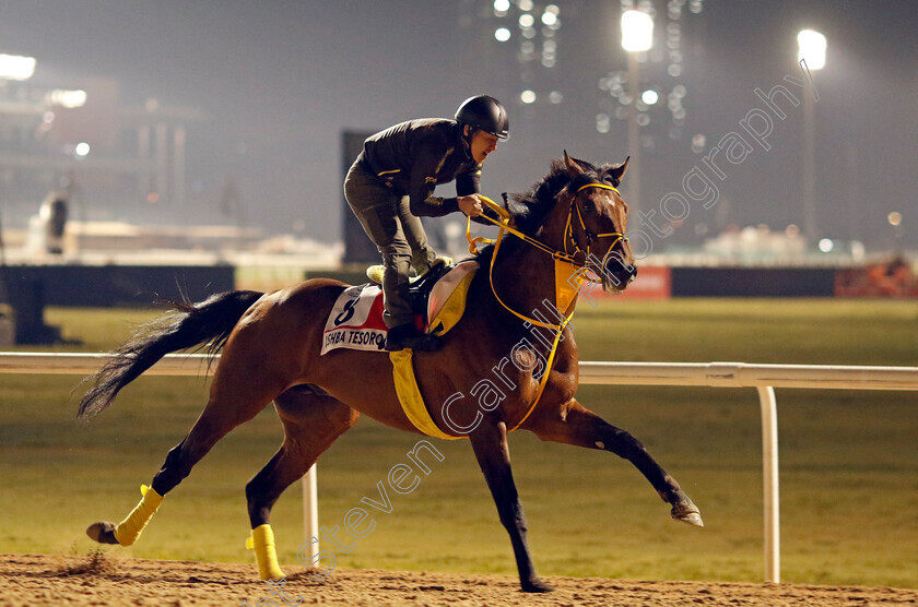 Ushba-Tesoro-0001 
 USHBA TESORO training for the Dubai World Cup
Meydan, Dubai, 21 Mar 2023 - Pic Steven Cargill / Racingfotos.com