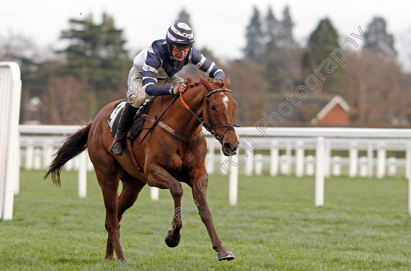 Good-Risk-At-All-0004 
 GOOD RISK AT ALL (Charlie Deutsch) wins The Dingley's Promise Handicap Hurdle
Ascot 19 Feb 2022 - Pic Steven Cargill / Racingfotos.com