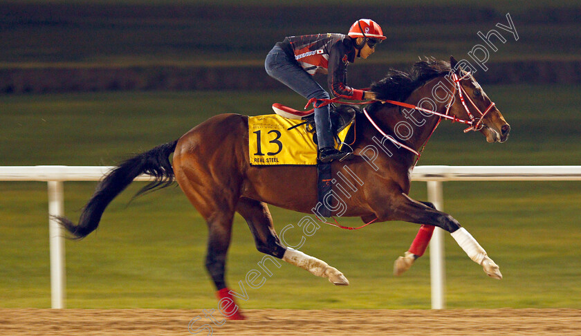 Real-Steel-0001 
 REAL STEEL exercising in preparation for The Dubai Turf Meydan 28 Mar 2018 - Pic Steven Cargill / Racingfotos.com