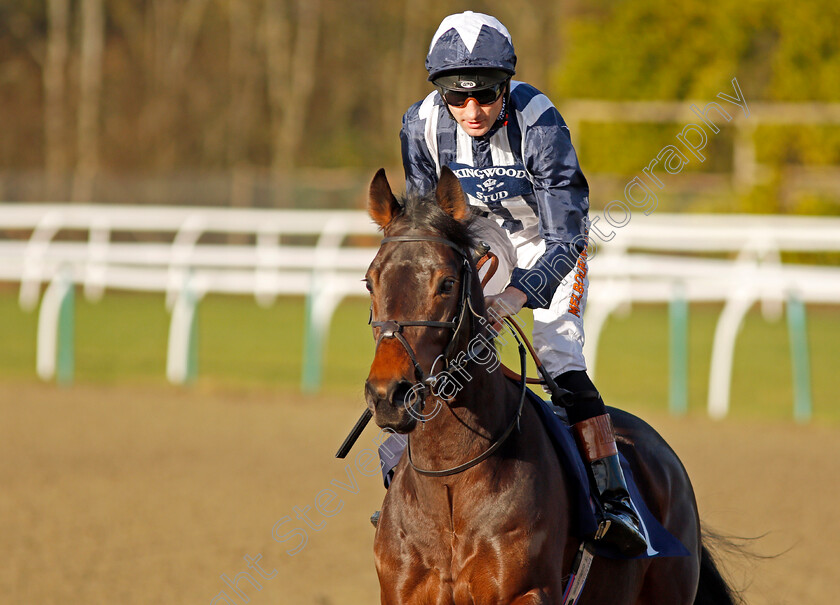 Darkest-Light-0001 
 DARKEST LIGHT (Dougie Costello) Lingfield 10 Jan 2018 - Pic Steven Cargill / Racingfotos.com