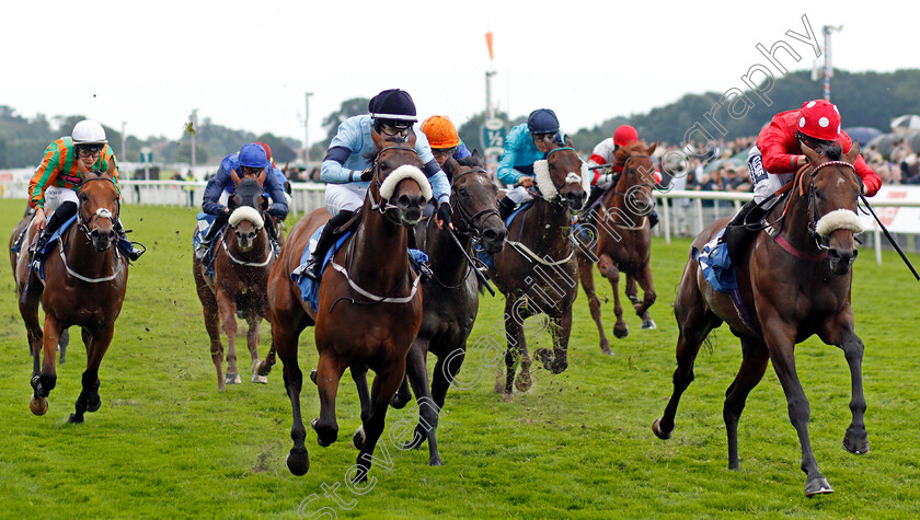 Blackrod-0003 
 BLACKROD (right, Billy Garritty) beats DIGITAL (left) in The Sky Bet Apprentice Handicap
York 21 Aug 2021 - Pic Steven Cargill / Racingfotos.com