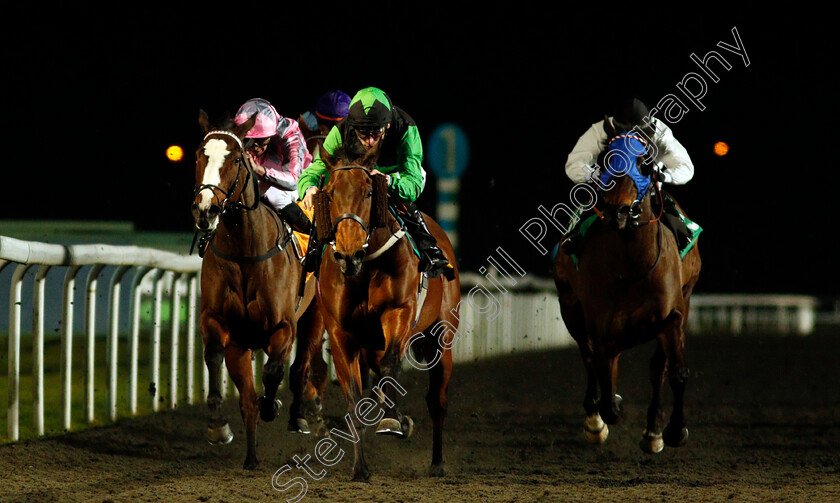 Evasive-Power-0001 
 EVASIVE POWER (Kieran Shoemark) wins The Try Our New Super Boosts At Unibet Handicap Div2
Kempton 24 Feb 2021 - Pic Steven Cargill / Racingfotos.com