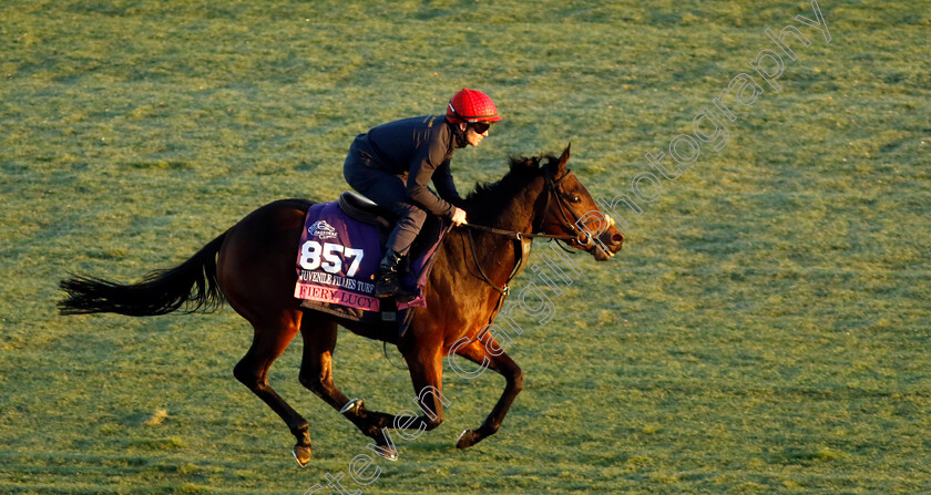 Fiery-Lucy-0002 
 FIERY LUCY training for the Breeders' Cup Juvenile Fillies Turf
Del Mar USA 30 Oct 2024 - Pic Steven Cargill / Racingfotos.com