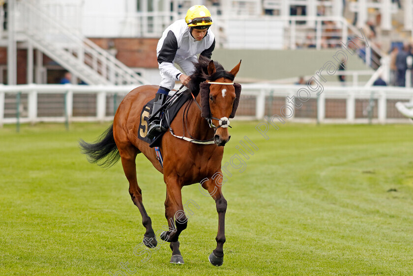 Screaming-Leeagale-0001 
 SCREAMING LEEAGALE (Oliver Searle)
Nottingham 30 May 2023 - Pic Steven Cargill / Racingfotos.com