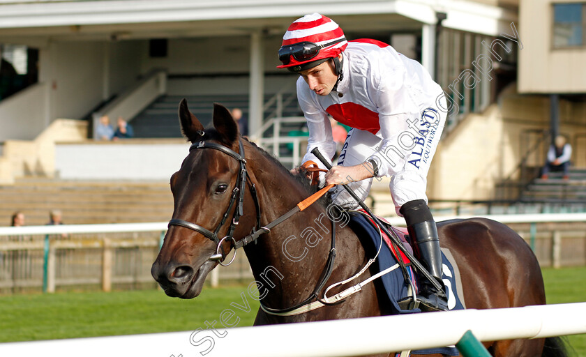 Kitai-0001 
 KITAI (Ryan Moore)
Newmarket 28 Oct 2022 - Pic Steven Cargill / Racingfotos.com