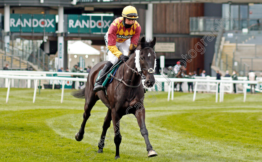 Umbrigado-0001 
 UMBRIGADO (David Noonan)
Aintree 8 Apr 2021 - Pic Steven Cargill / Racingfotos.com