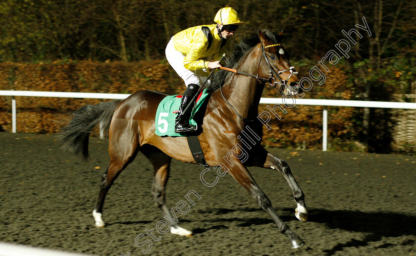 Elamirr-0002 
 ELAMIRR (Jack Mitchell) 
Kempton 12 Dec 2018 - Pic Steven Cargill / Racingfotos.com