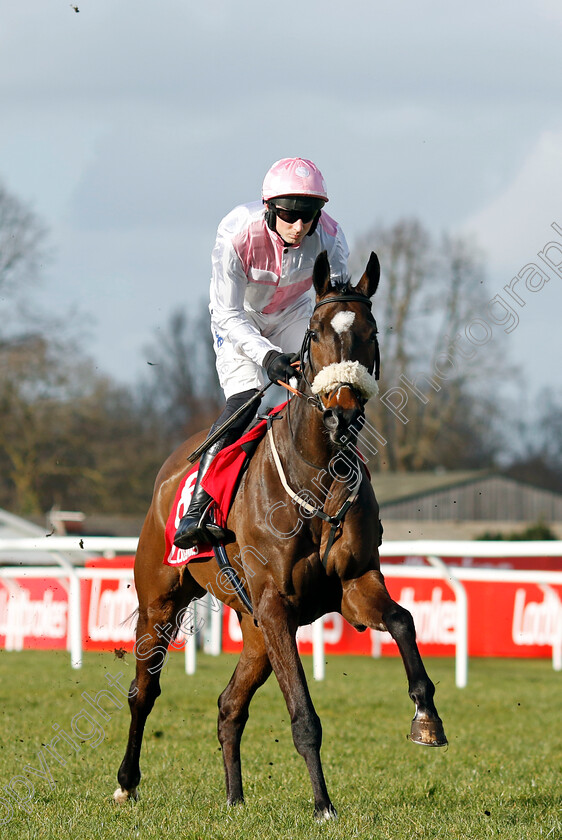 Starcrossed-Lover-0001 
 STARCROSSED LOVER (Conor O'Farrell)
Kempton 22 Feb 2025 - Pic Steven Cargill / Racingfotos.com