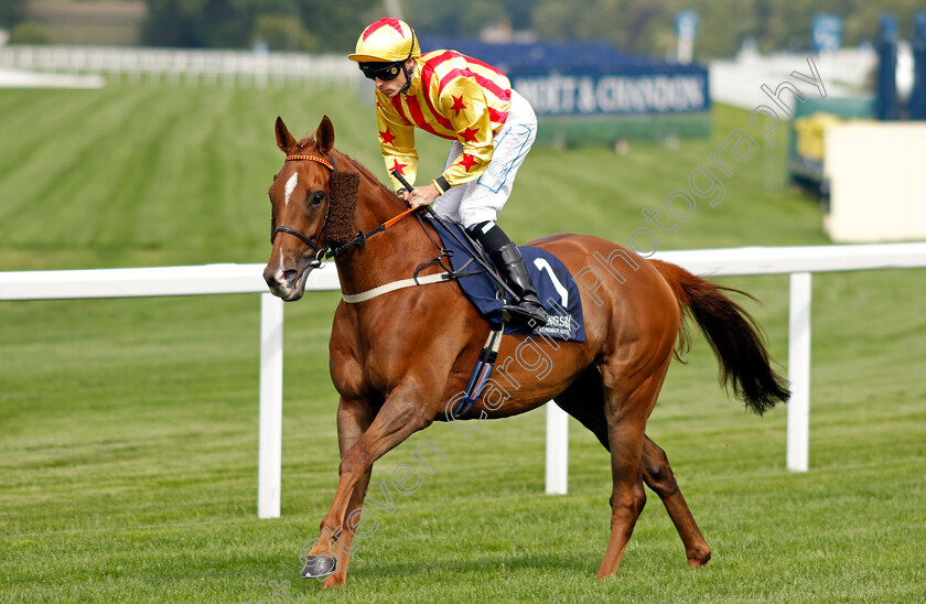 Saratoga-Gold-0001 
 SARATOGA GOLD (Kieran Shoemark)
Ascot 26 Jul 2024 - Pic Steven Cargill / Racingfotos.com