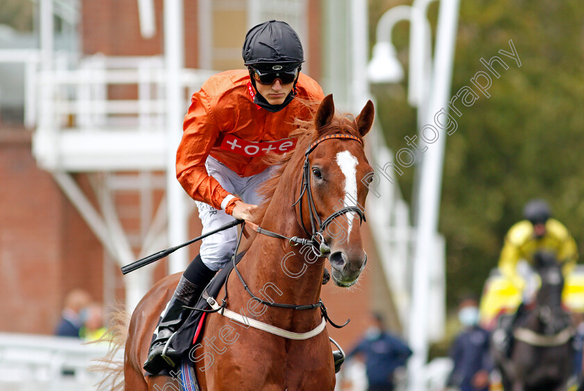 Bague-D Or-0001 
 BAGUE D'OR (George Wood)
Goodwood 30 Aug 2020 - Pic Steven Cargill /Racingfotos.com