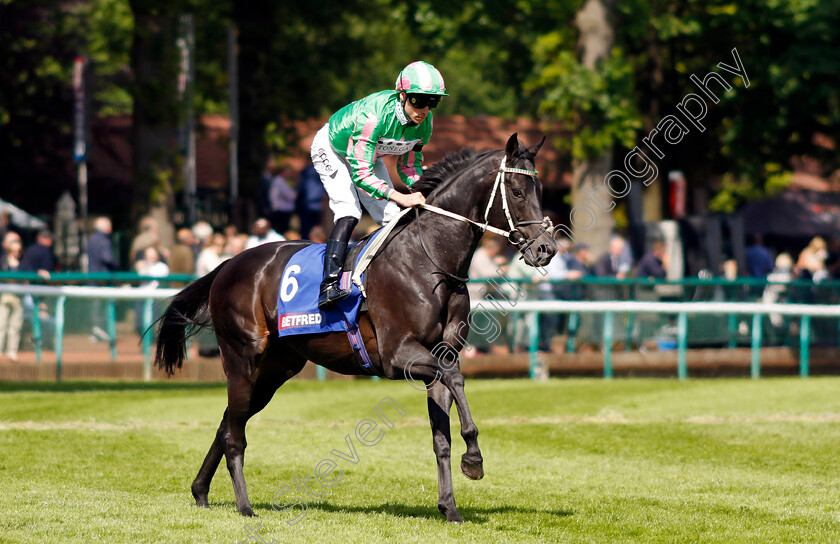 Pogo-0001 
 POGO (Kieran Shoemark) winner of The Betfred John Of Gaunt Stakes
Haydock 28 May 2022 - Pic Steven Cargill / Racingfotos.com