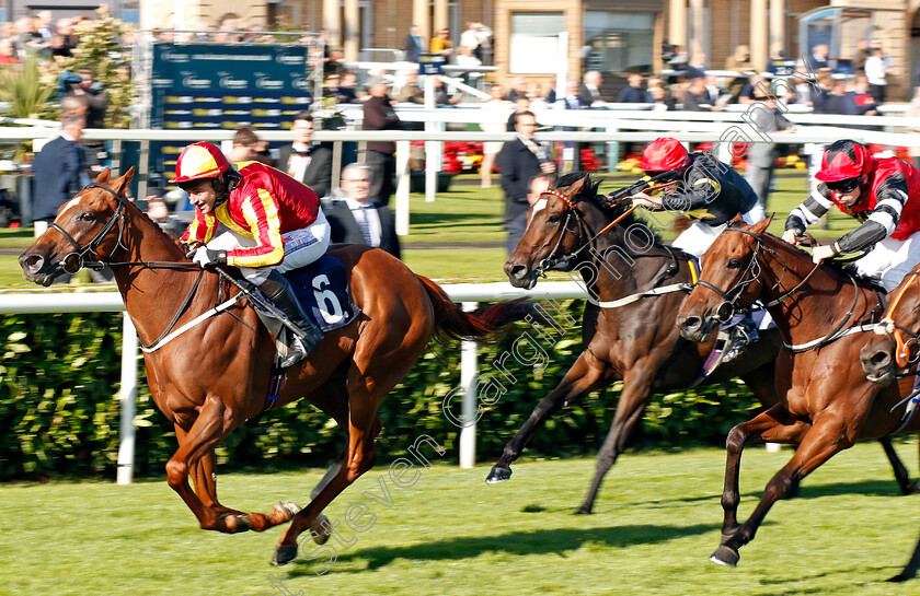 Off-Art-0001 
 OFF ART (Brian Harding) wins The Clipper Logistics Leger Legends Classified Stakes Doncaster 13 Sep 2017 - Pic Steven Cargill / Racingfotos.com