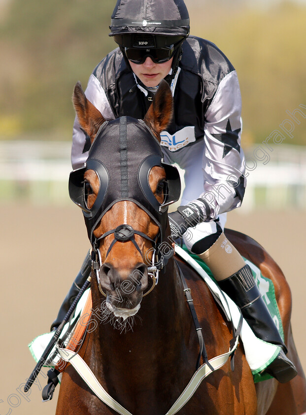 Philamundo-0001 
 PHILAMUNDO (Sean Kirrane)
Lingfield 19 Apr 2019 - Pic Steven Cargill / Racingfotos.com