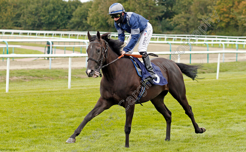 Stopnsearch-0001 
 STOPNSEARCH (William Carson) winner of The Read Andrew Balding On Betway Insider Handicap Div1
Lingfield 7 Sep 2020 - Pic Steven Cargill / Racingfotos.com