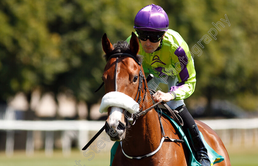 Chicas-Amigas-0002 
 CHICAS AMIGAS (Colm O'Donoghue)
Newmarket 13 Jul 2018 - Pic Steven Cargill / Racingfotos.com