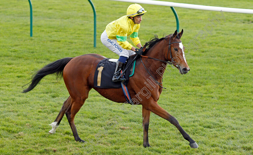 Beebee 
 BEEBEE (Silvestre De Sousa)
Newmarket 30 Oct 2021 - Pic Steven Cargill / Racingfotos.com