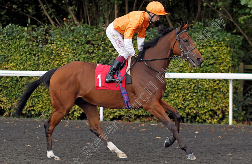 Willem-Twee-0001 
 WILLEM TWEE (Oisin Murphy)
Kempton 2 Oct 2024 - pic Steven Cargill / Racingfotos.com