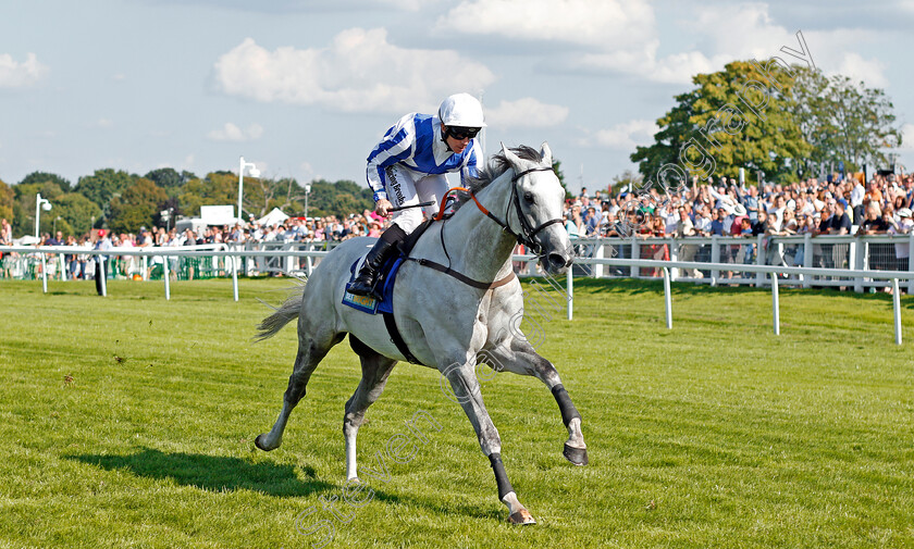 Thundering-Blue-0004 
 THUNDERING BLUE (Jim Crowley) wins The BetBright Recall Handicap Sandown 2 Sep 2017 - Pic Steven Cargill / Racingfotos.com