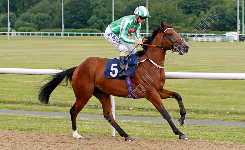 Port-Winston-0001 
 PORT WINSTON (David Probert)
Wolverhampton 17 Jul 2019 - Pic Steven Cargill / Racingfotos.com