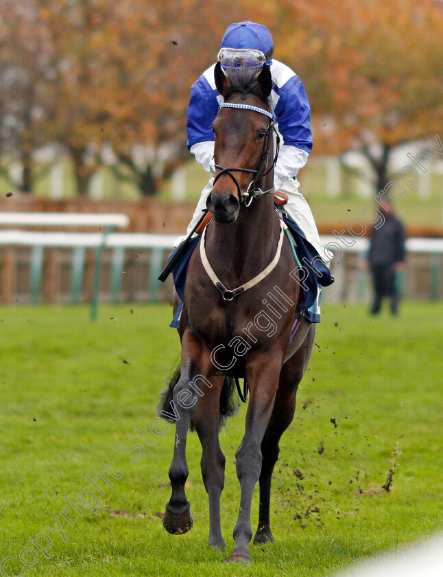 Mystery-Show-0001 
 MYSTERY SHOW (Hollie Doyle)
Newmarket 31 Oct 2020 - Pic Steven Cargill / Racingfotos.com