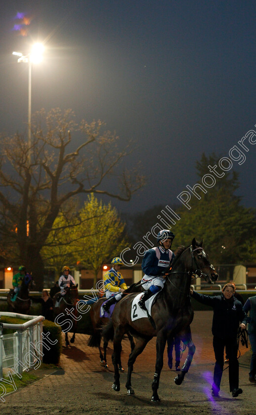 Birds-Of-Prey-0001 
 BIRDS OF PREY (Megan Nicholls) Kempton 11 Apr 2018 - Pic Steven Cargill / Racingfotos.com