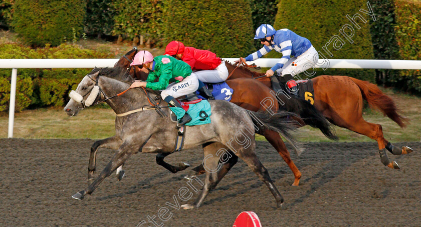 Makambe-0004 
 MAKAMBE (Joey Haynes) wins The Matchbook 2% Commission Handicap
Kempton 3 Sep 2019 - Pic Steven Cargill / Racingfotos.com